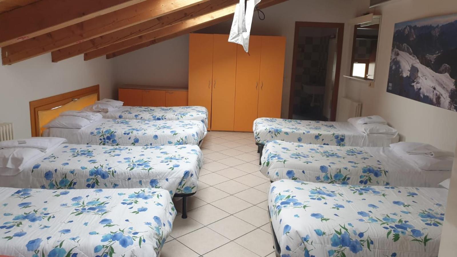 Lunga Via Delle Dolomiti Hotel Calalzo di Cadore Buitenkant foto